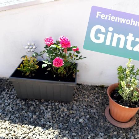 Ferienwohnung Haus Gintz 블리에스카스텔 외부 사진