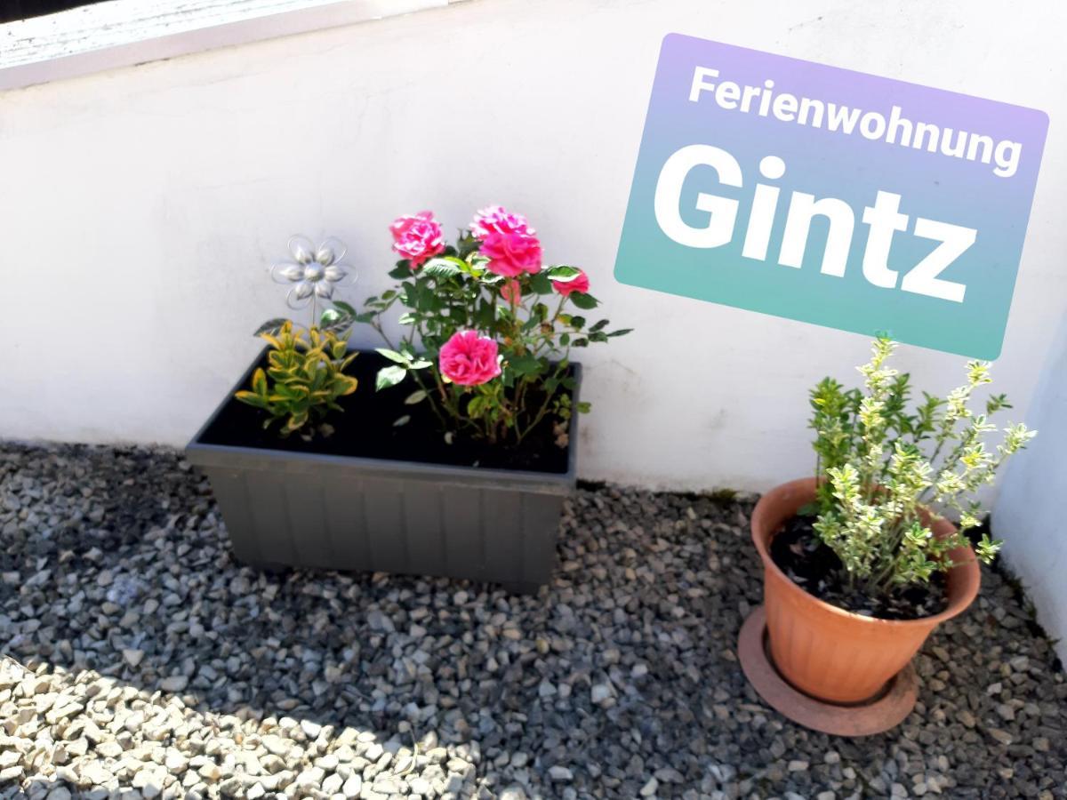 Ferienwohnung Haus Gintz 블리에스카스텔 외부 사진