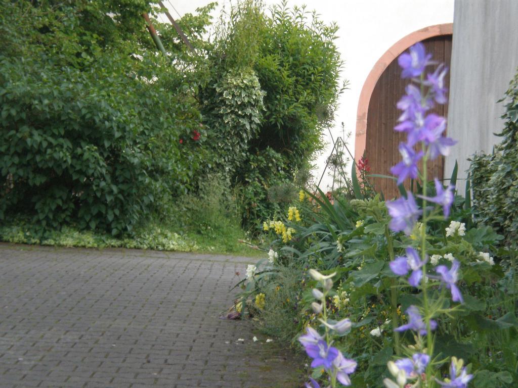 Ferienwohnung Haus Gintz 블리에스카스텔 외부 사진