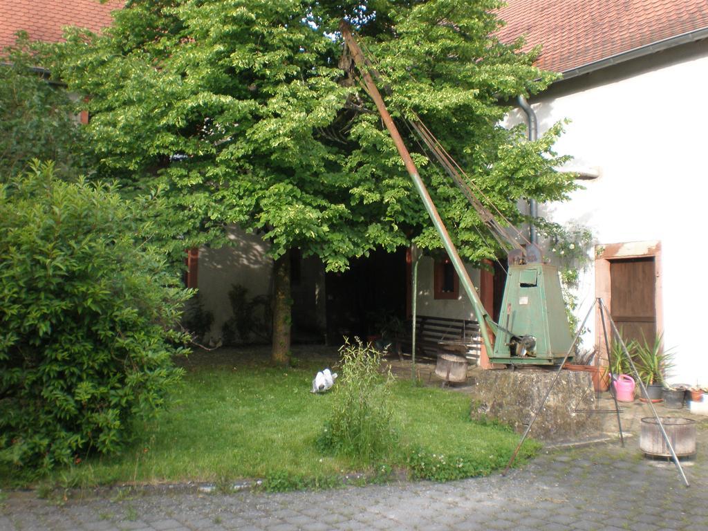 Ferienwohnung Haus Gintz 블리에스카스텔 외부 사진