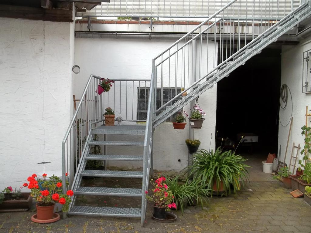 Ferienwohnung Haus Gintz 블리에스카스텔 외부 사진